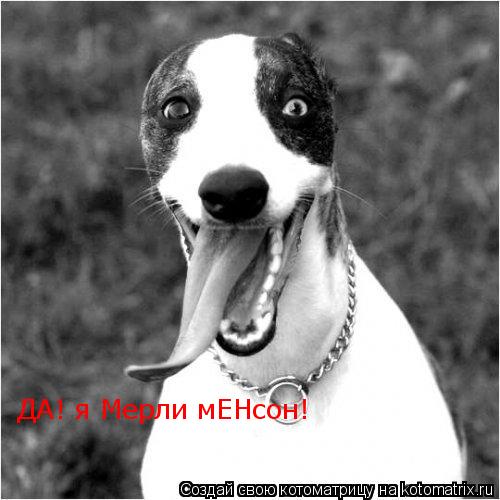 ДА! я Мерли мЕНсон!... Котоматрица: ДА! я Мерли мЕНсон!