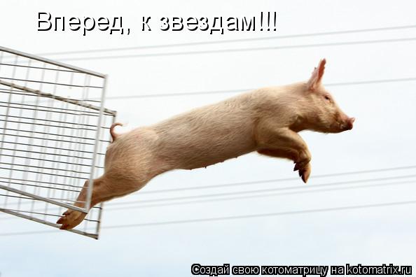 Вперед, к звездам!!!... Котоматрица: Вперед, к звездам!!!