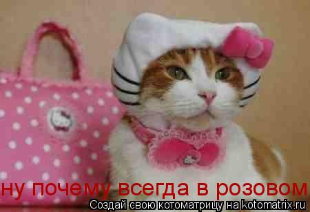 ну почему всегда в розовом... Котоматрица: ну почему всегда в розовом