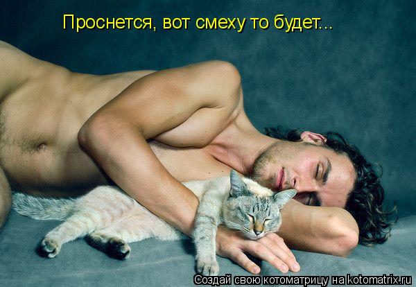 Проснется, вот смеху то будет...... Котоматрица: Проснется, вот смеху то будет...