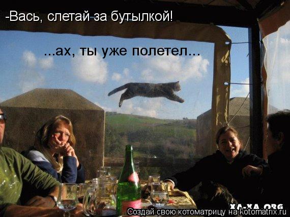 -Вась, слетай за бутылкой! ...ах, ты уже полетел...... Котоматрица: -Вась, слетай за бутылкой! ...ах, ты уже полетел...