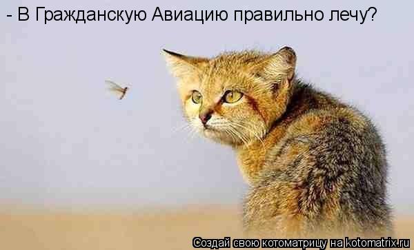 - В Гражданскую Авиацию правильно лечу?... Котоматрица: - В Гражданскую Авиацию правильно лечу?