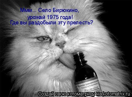 урожай 1975 года! Ммм... Село Бирюкино, Где вы раздобыли эту прелесть?... Котоматрица: урожай 1975 года! Ммм... Село Бирюкино, Где вы раздобыли эту прелесть?