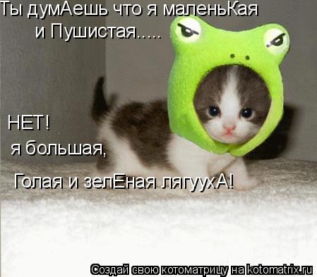 Ты думАешь что я маленьКая и Пушистая..... НЕТ! я большая, Голая и зелЕная лягуухА!... Котоматрица: Ты думАешь что я маленьКая и Пушистая..... НЕТ! я большая, Голая и зелЕная лягуухА!