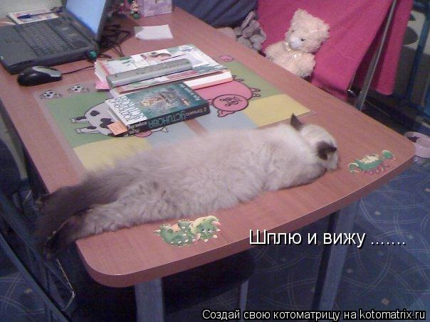 Шплю и вижу .......... Котоматрица: Шплю и вижу .......