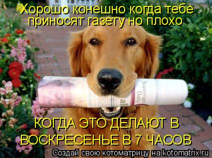 Хорошо конешно когда тебе приносят газету но плохо КОГДА ЭТО ДЕЛАЮТ В ВОСКРЕСЕНЬЕ В 7 ЧАСОВ... Котоматрица: Хорошо конешно когда тебе приносят газету но плохо КОГДА ЭТО ДЕЛАЮТ В ВОСКРЕСЕНЬЕ В 7 ЧАСОВ