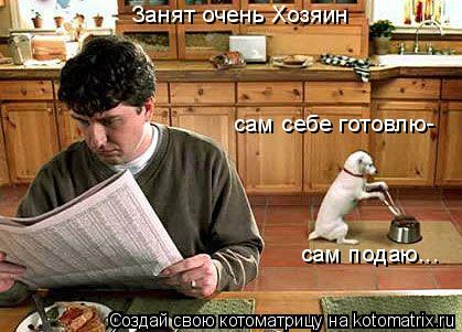 Занят очень Хозяин сам себе готовлю- сам подаю...... Котоматрица: Занят очень Хозяин сам себе готовлю- сам подаю...