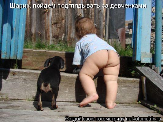 Шарик, пойдем подглядывать за девченками... Котоматрица: Шарик, пойдем подглядывать за девченками