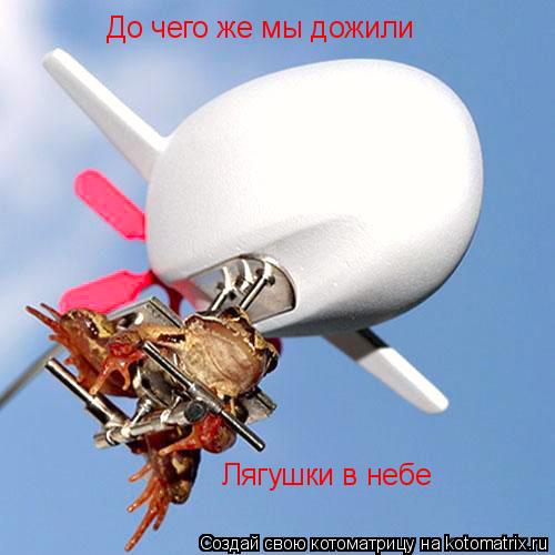 До чего же мы дожили Лягушки в небе... Котоматрица: До чего же мы дожили Лягушки в небе