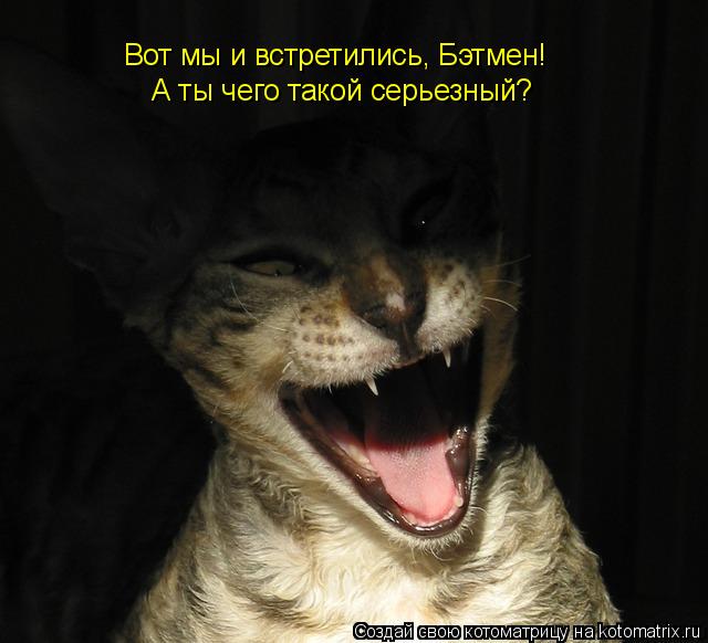 Вот мы и встретились, Бэтмен! А ты чего такой серьезный?... Котоматрица: Вот мы и встретились, Бэтмен! А ты чего такой серьезный?
