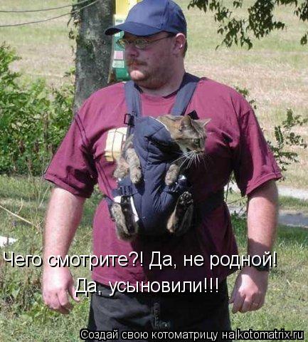 Чего смотрите?! Да, не родной! Да, усыновили!!!... Котоматрица: Чего смотрите?! Да, не родной! Да, усыновили!!!