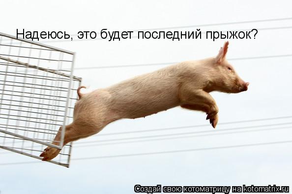 Надеюсь, это будет последний прыжок?... Котоматрица: Надеюсь, это будет последний прыжок?