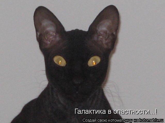 Галактика в опастности...!... Котоматрица: Галактика в опастности...!