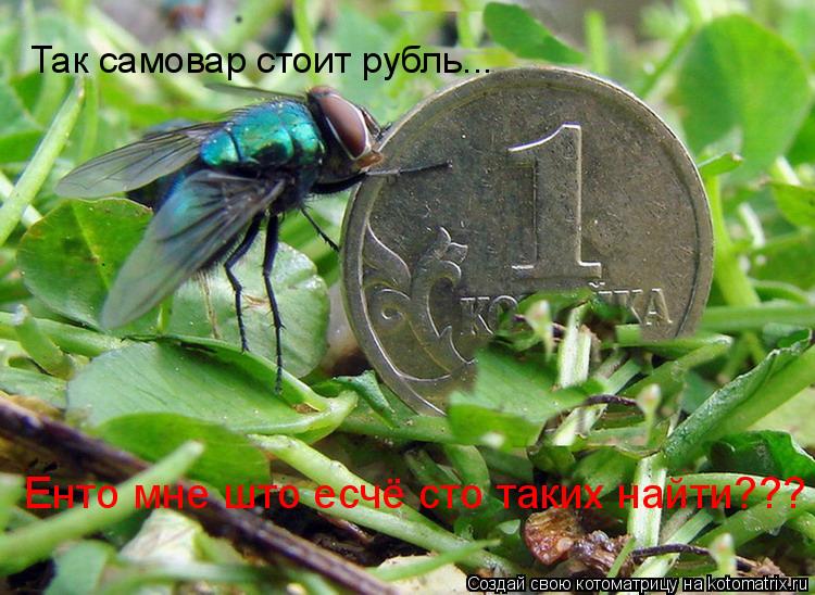 Так самовар стоит рубль... Енто мне што есчё сто таких найти???... Котоматрица: Так самовар стоит рубль... Енто мне што есчё сто таких найти???