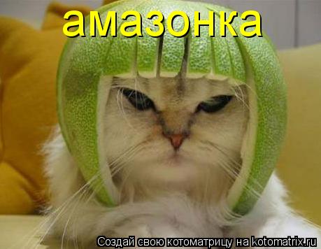 амазонка... Котоматрица: амазонка