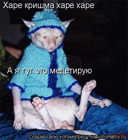 Харе кришма харе харе А я тут это медетирую... Котоматрица: Харе кришма харе харе А я тут это медетирую