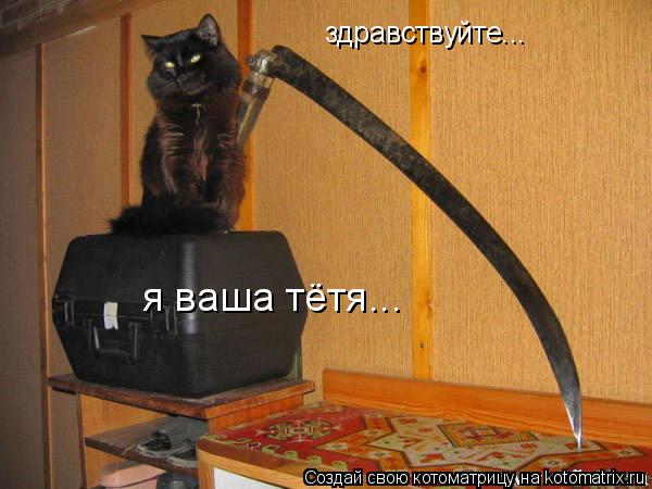 здравствуйте... я ваша тётя...... Котоматрица: здравствуйте... я ваша тётя...