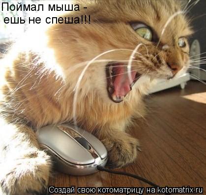 Поймал мыша - ешь не спеша!!!... Котоматрица: Поймал мыша - ешь не спеша!!!