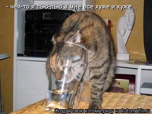 - чёй-то я пью-пью,а мне все хуже и хуже...... Котоматрица: - чёй-то я пью-пью,а мне все хуже и хуже...