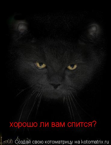 хорошо ли вам спится?... Котоматрица: хорошо ли вам спится?