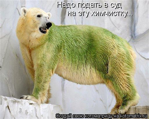 Надо подать в суд на эту химчистку...... Котоматрица: Надо подать в суд на эту химчистку...