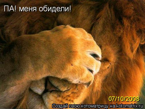 ПА! меня обидели! 07/10/2008... Котоматрица: ПА! меня обидели! 07/10/2008