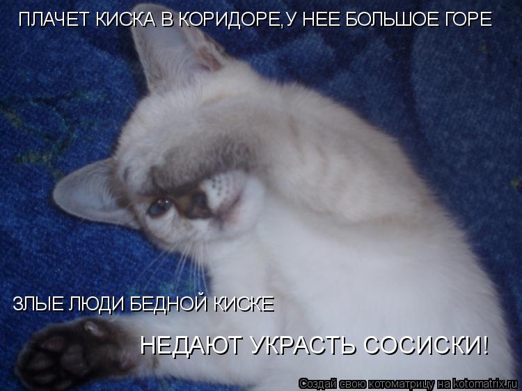 ПЛАЧЕТ КИСКА В КОРИДОРЕ,У НЕЕ БОЛЬШОЕ ГОРЕ ЗЛЫЕ ЛЮДИ БЕДНОЙ КИСКЕ НЕДАЮТ УКРАСТЬ СОСИСКИ!... Котоматрица: ПЛАЧЕТ КИСКА В КОРИДОРЕ,У НЕЕ БОЛЬШОЕ ГОРЕ ЗЛЫЕ ЛЮДИ БЕДНОЙ КИСКЕ НЕДАЮТ УКРАСТЬ СОСИСКИ!