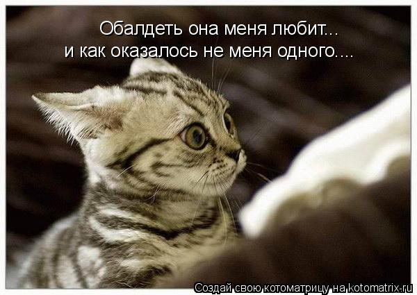Котоматрица: Обалдеть она меня любит... и как оказалось не меня одного....