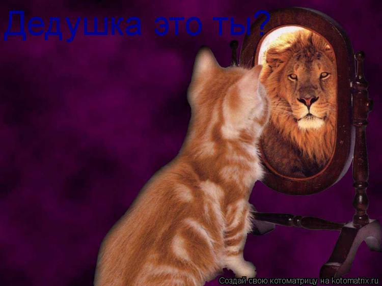 Дедушка это ты?... Котоматрица: Дедушка это ты?