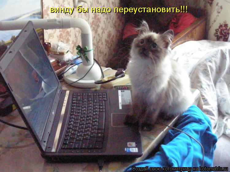 винду бы надо переустановить!!!... Котоматрица: винду бы надо переустановить!!!