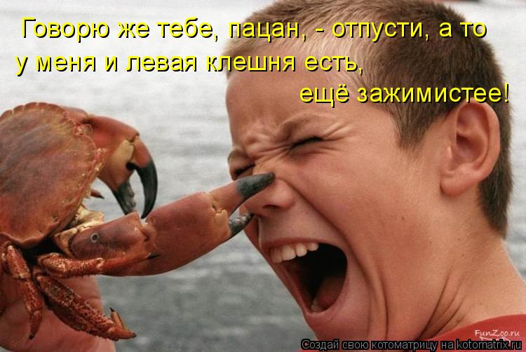 Говорю же тебе, пацан, - отпусти, а то у меня и левая клешня есть, ещё зажимистее!... Котоматрица: Говорю же тебе, пацан, - отпусти, а то у меня и левая клешня есть, ещё зажимистее!