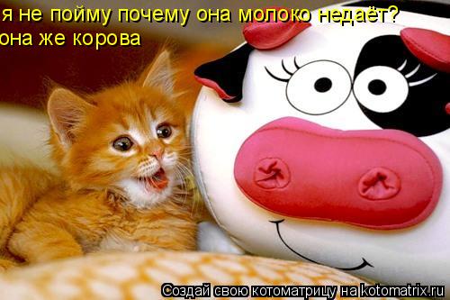 я не пойму почему она молоко недаёт? она же корова... Котоматрица: я не пойму почему она молоко недаёт? она же корова