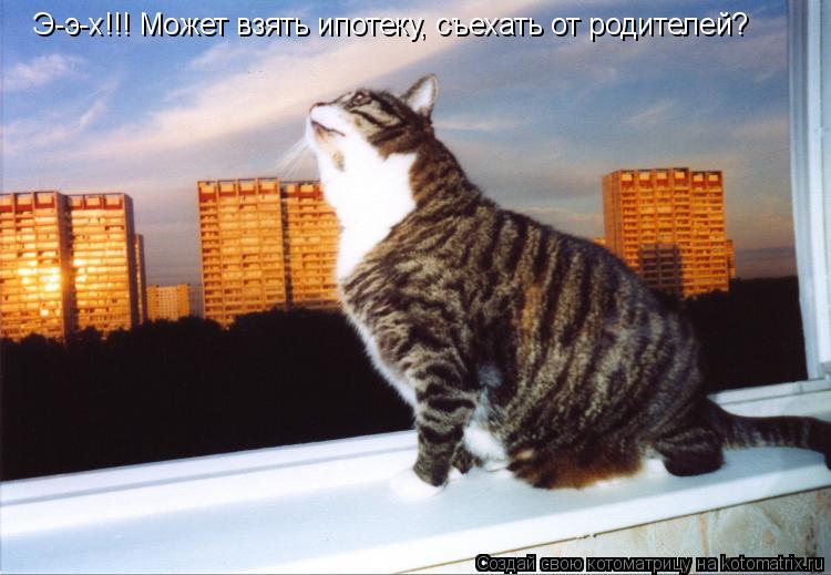 Э-э-х!!! Может взять ипотеку, съехать от родителей?... Котоматрица: Э-э-х!!! Может взять ипотеку, съехать от родителей?