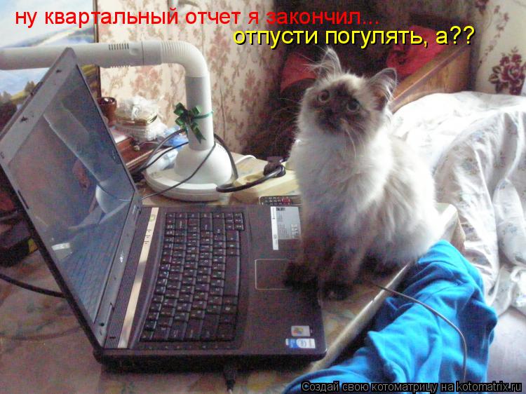ну квартальный отчет я закончил... отпусти погулять, а??... Котоматрица: ну квартальный отчет я закончил... отпусти погулять, а??