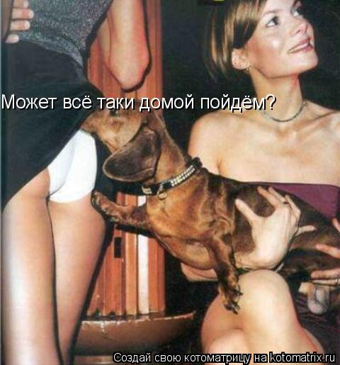 Может всё таки домой пойдём?... Котоматрица: Может всё таки домой пойдём?