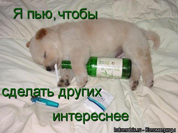 Я пью, чтобы сделать других интереснее... Котоматрица: Я пью, чтобы сделать других интереснее