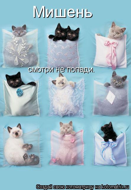 Мишень смотри не попади.... Котоматрица: Мишень смотри не попади.