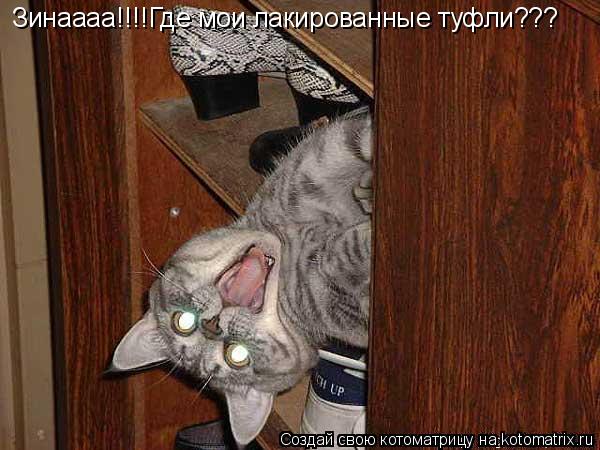 Зинаааа!!!!Где мои лакированные туфли???... Котоматрица: Зинаааа!!!!Где мои лакированные туфли???