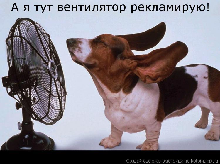 А я тут вентилятор рекламирую!... Котоматрица: А я тут вентилятор рекламирую!