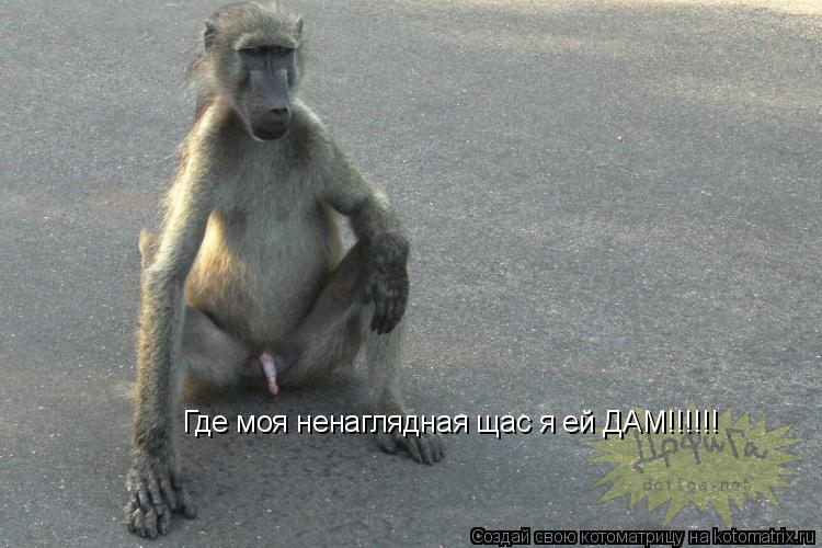 Где моя ненаглядная щас я ей ДАМ!!!!!!... Котоматрица: Где моя ненаглядная щас я ей ДАМ!!!!!!