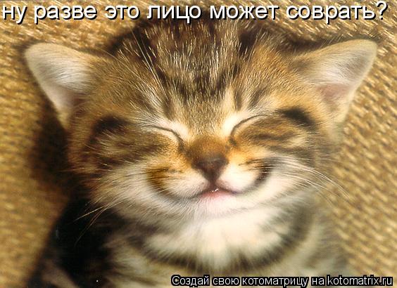 Котоматрица: ну разве это лицо может соврать?