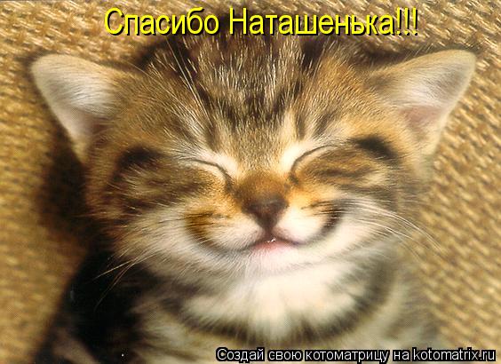 Спасибо Наташенька!!!... Котоматрица: Спасибо Наташенька!!!