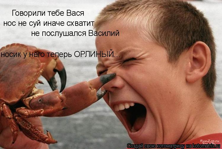 Котоматрица: Говорили тебе Вася нос не суй иначе схватит не послушался Василий носик у него теперь ОРЛИНЫЙ...