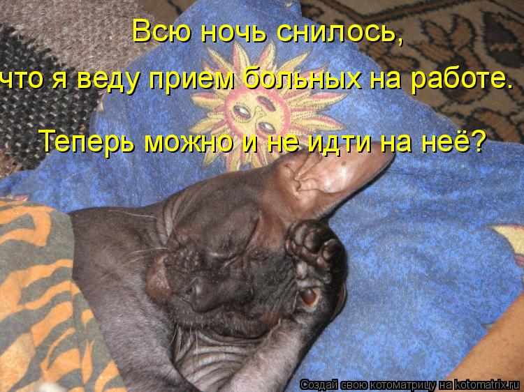 Всю ночь снилось, что я веду прием больных на работе. Теперь можно и не идти на неё?... Котоматрица: Всю ночь снилось, что я веду прием больных на работе. Теперь можно и не идти на неё?