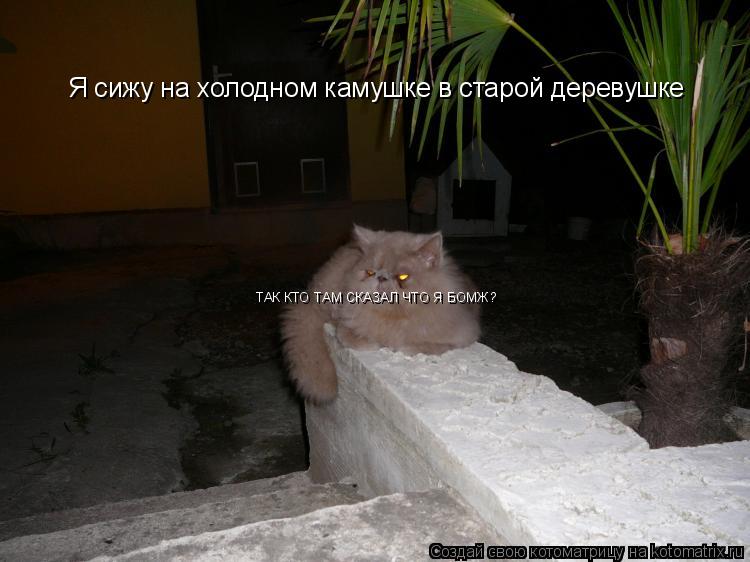 Я сижу на холодном камушке в старой деревушке ТАК КТО ТАМ СКАЗАЛ ЧТО Я БОМЖ?... Котоматрица: Я сижу на холодном камушке в старой деревушке ТАК КТО ТАМ СКАЗАЛ ЧТО Я БОМЖ?