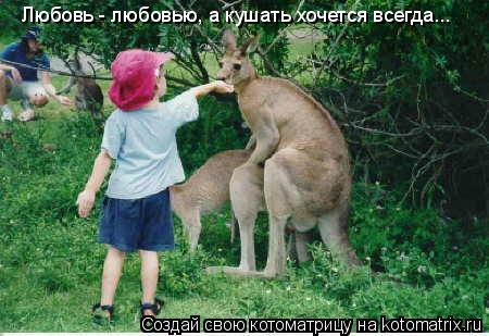 Любовь - любовью, а кушать хочется всегда...... Котоматрица: Любовь - любовью, а кушать хочется всегда...