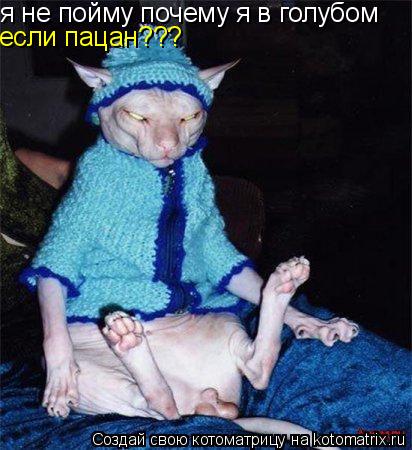 я не пойму почему я в голубом если пацан???... Котоматрица: я не пойму почему я в голубом если пацан???
