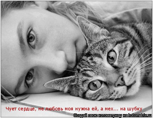 Котоматрица: Чует сердце, не любовь моя нужна ей, а мех... на шубку