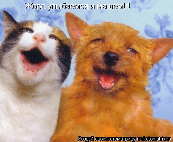 Жора улыбаемся и машем!!!... Котоматрица: Жора улыбаемся и машем!!!