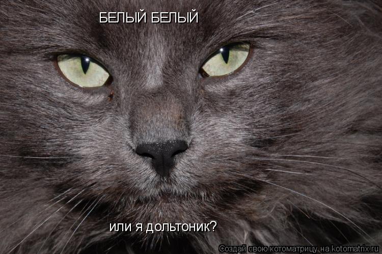 БЕЛЫЙ БЕЛЫЙ или я дольтоник?... Котоматрица: БЕЛЫЙ БЕЛЫЙ или я дольтоник?